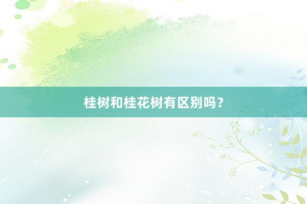 桂树和桂花树有区别吗？